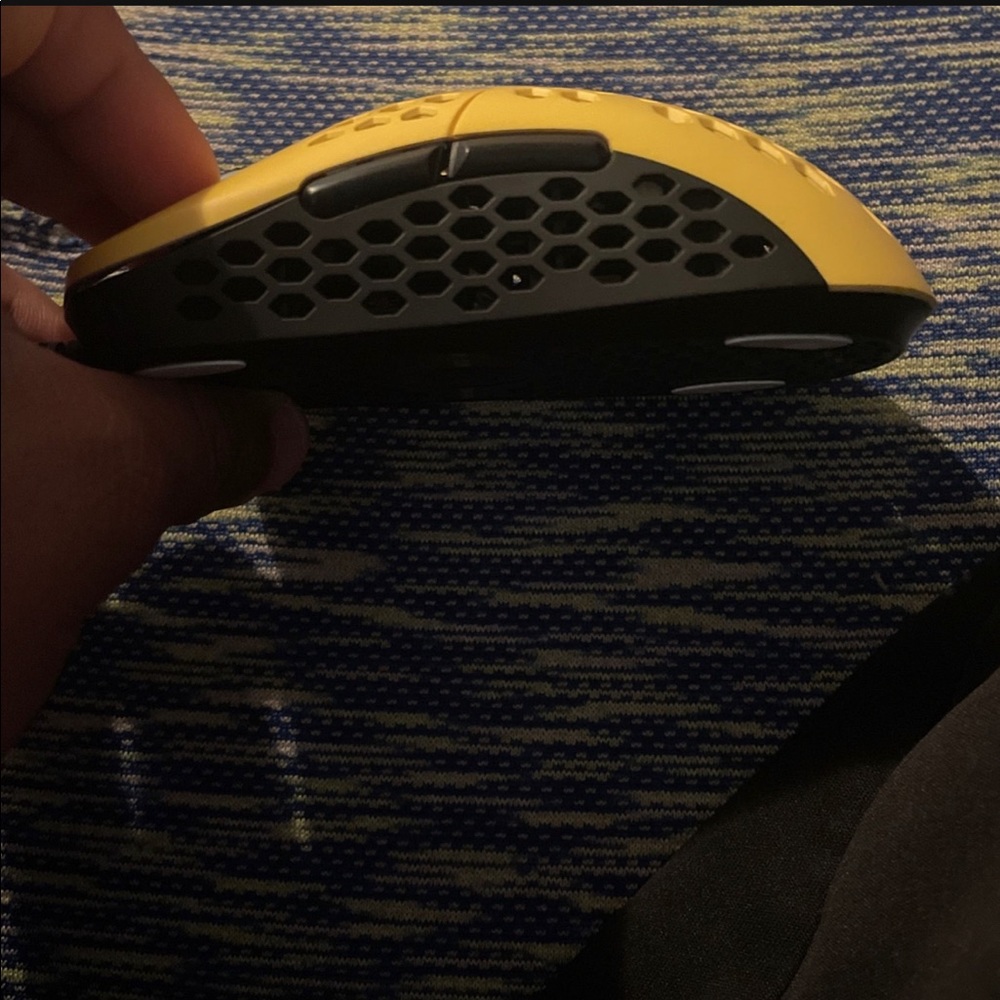 Mouse